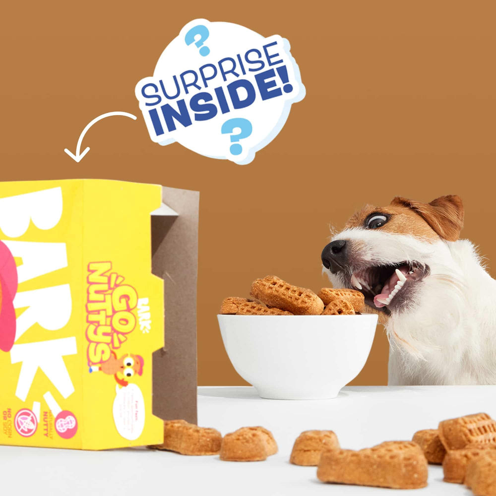 Go Nutty de Barkbox con granos nutritivos para merienda equilibrada.