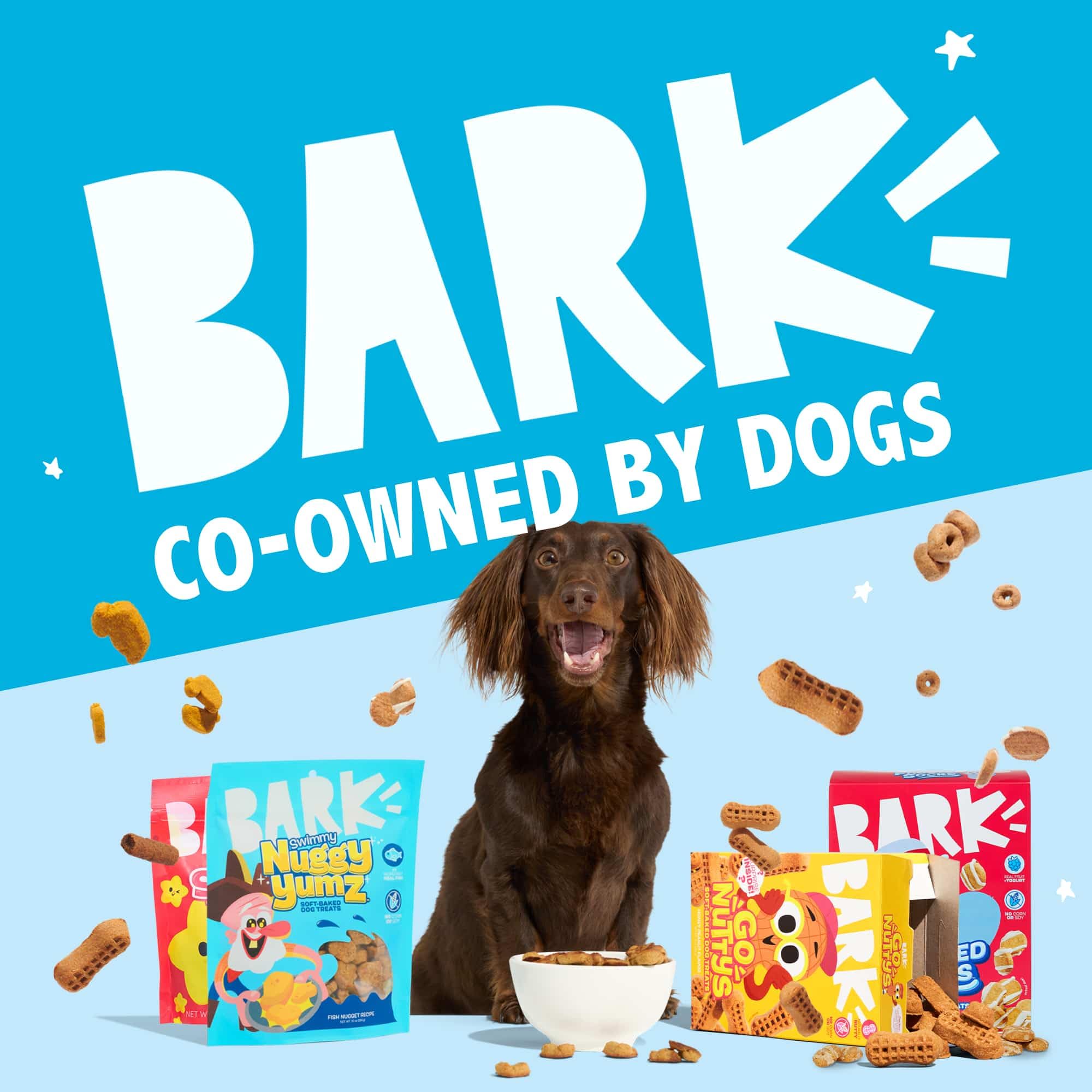 Snack diario Go Nutty para perros activos y felices.