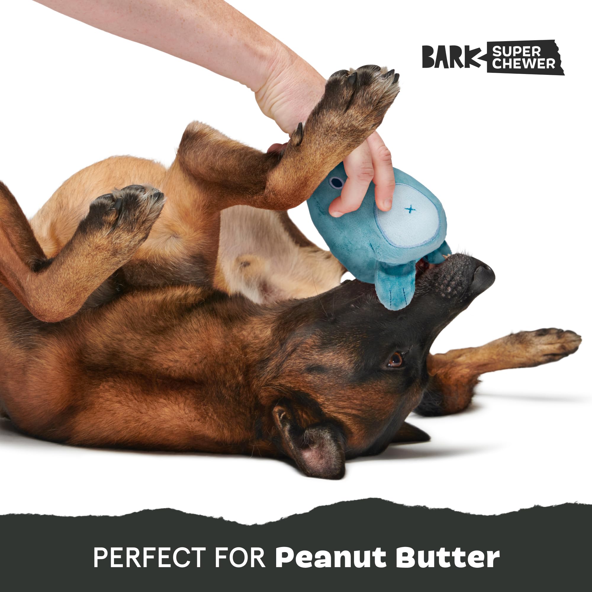 Barkbox Grey Bear Hugger rip-and-reveal action during interactive play