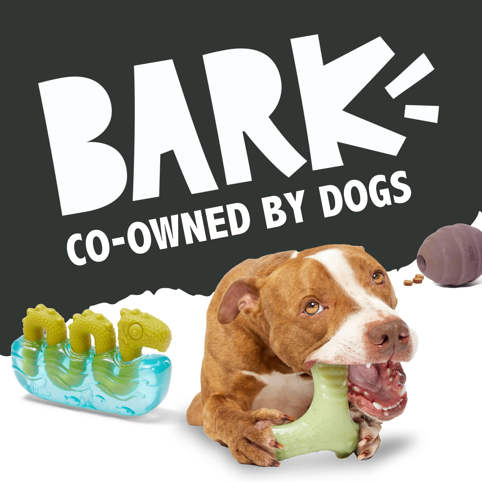BarkBox Lover Beast tearable plush fabric supports interactive play and teething