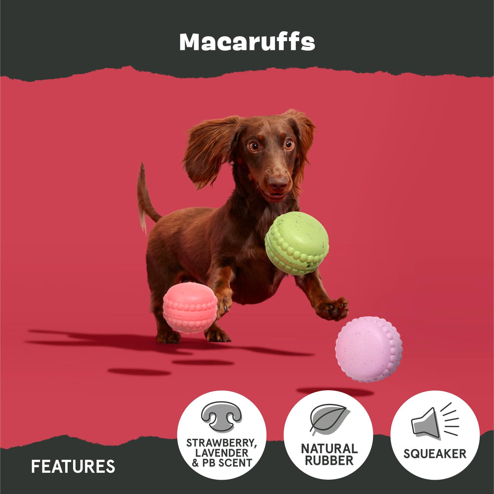 BarkBox Macaruffs strawberry scent closeup highlighting fruity aroma