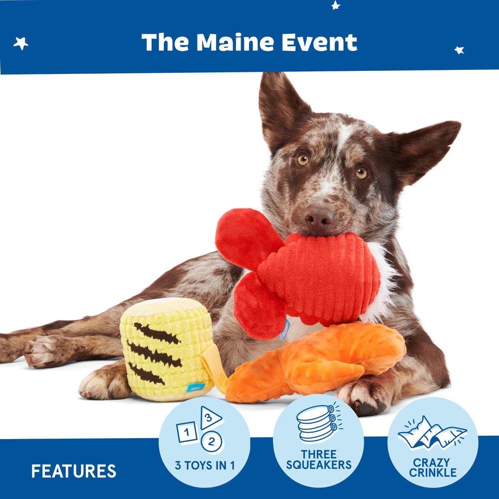 BarkBox The Maine Event long-hair plush image highlighting shreddable fibers for tugging.