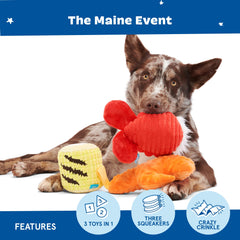 BarkBox The Maine Event long-hair plush image highlighting shreddable fibers for tugging.