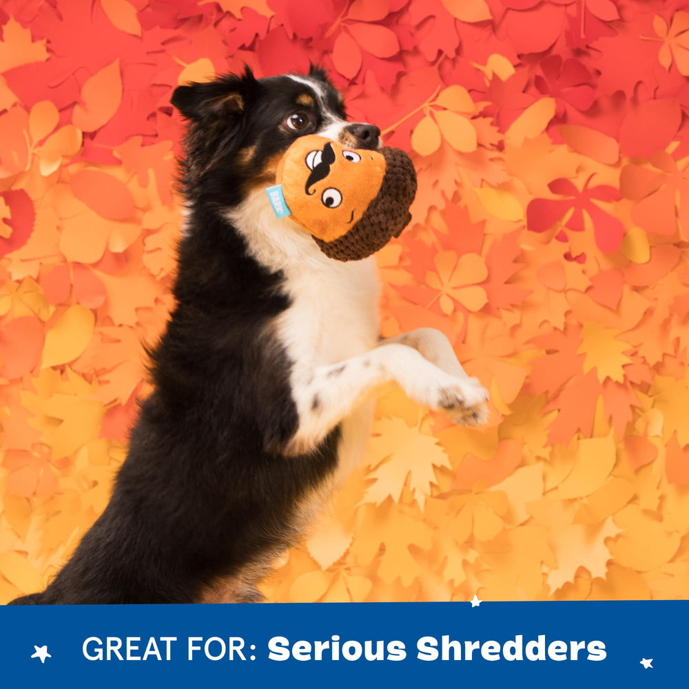 Barkbox Monsieur Acorn durable design stands up to aggressive chewers for large dogs.