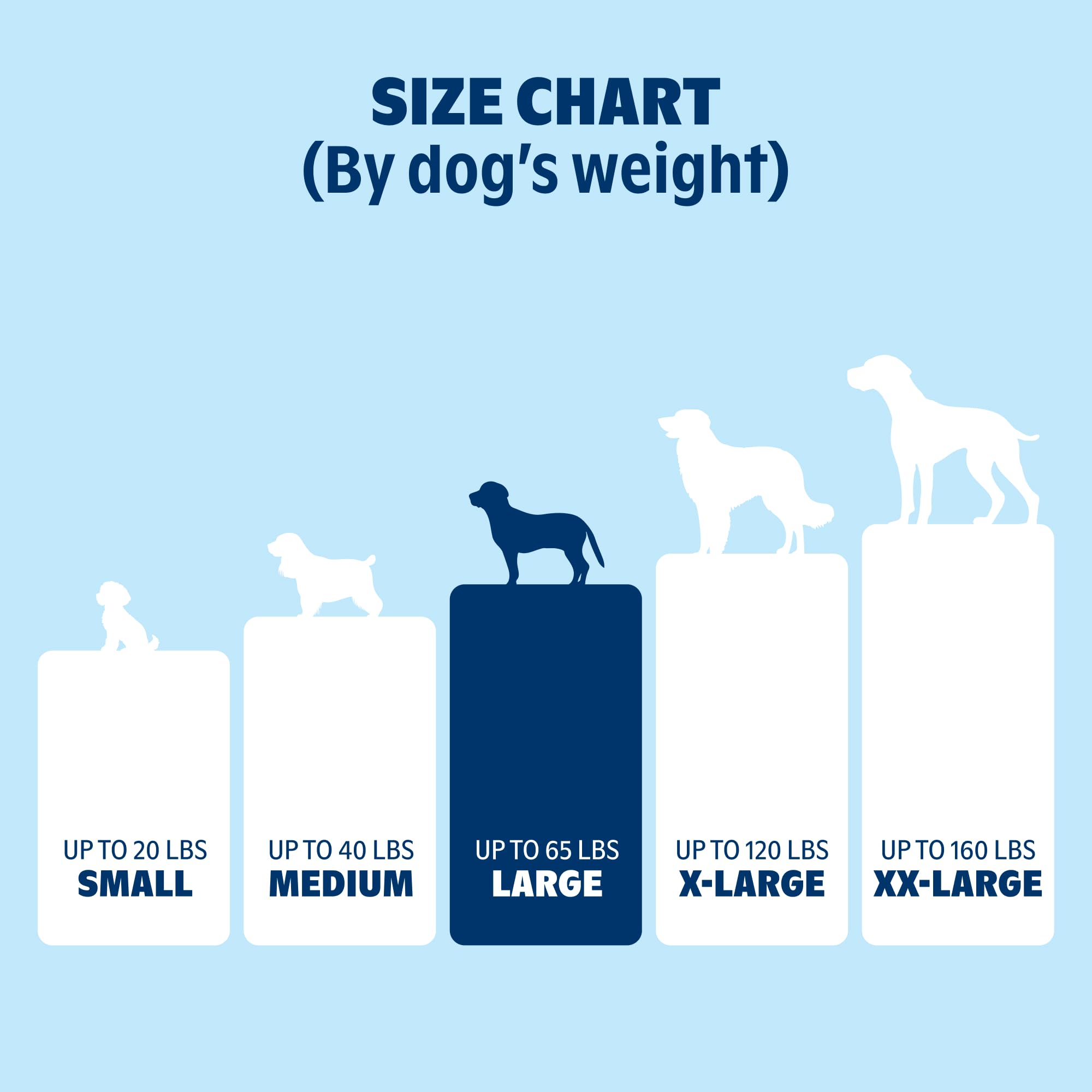 BARKBOX Orthopedic Bed crate-pad use illustrates versatile placement in homes.