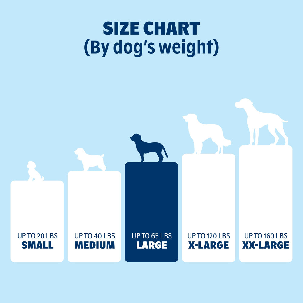 BARKBOX Orthopedic Bed crate-pad use illustrates versatile placement in homes.