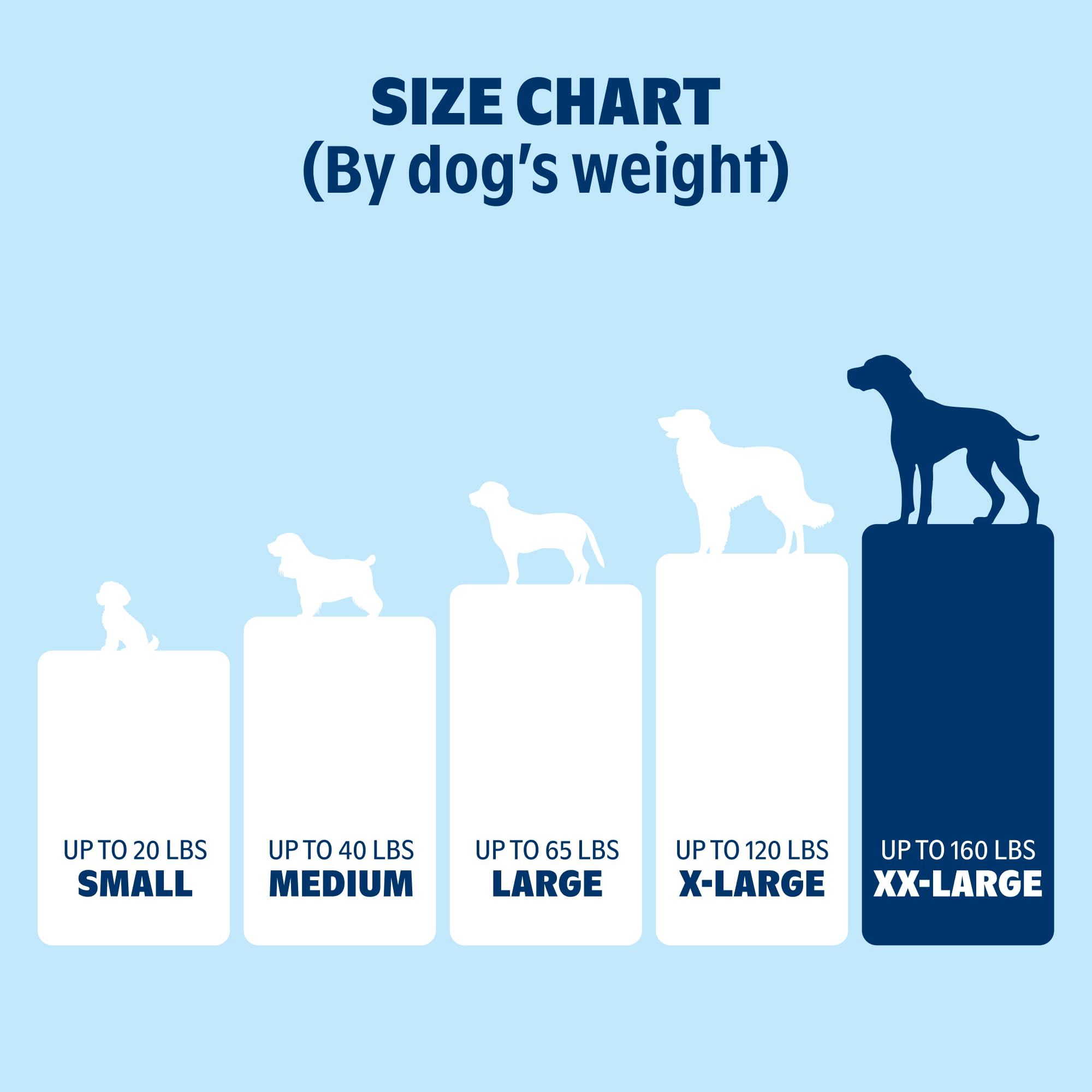 BarkBox Orthopedic Dog Bed durable stitched edges for long-lasting use.