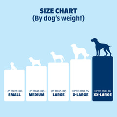 BarkBox Orthopedic Dog Bed durable stitched edges for long-lasting use.
