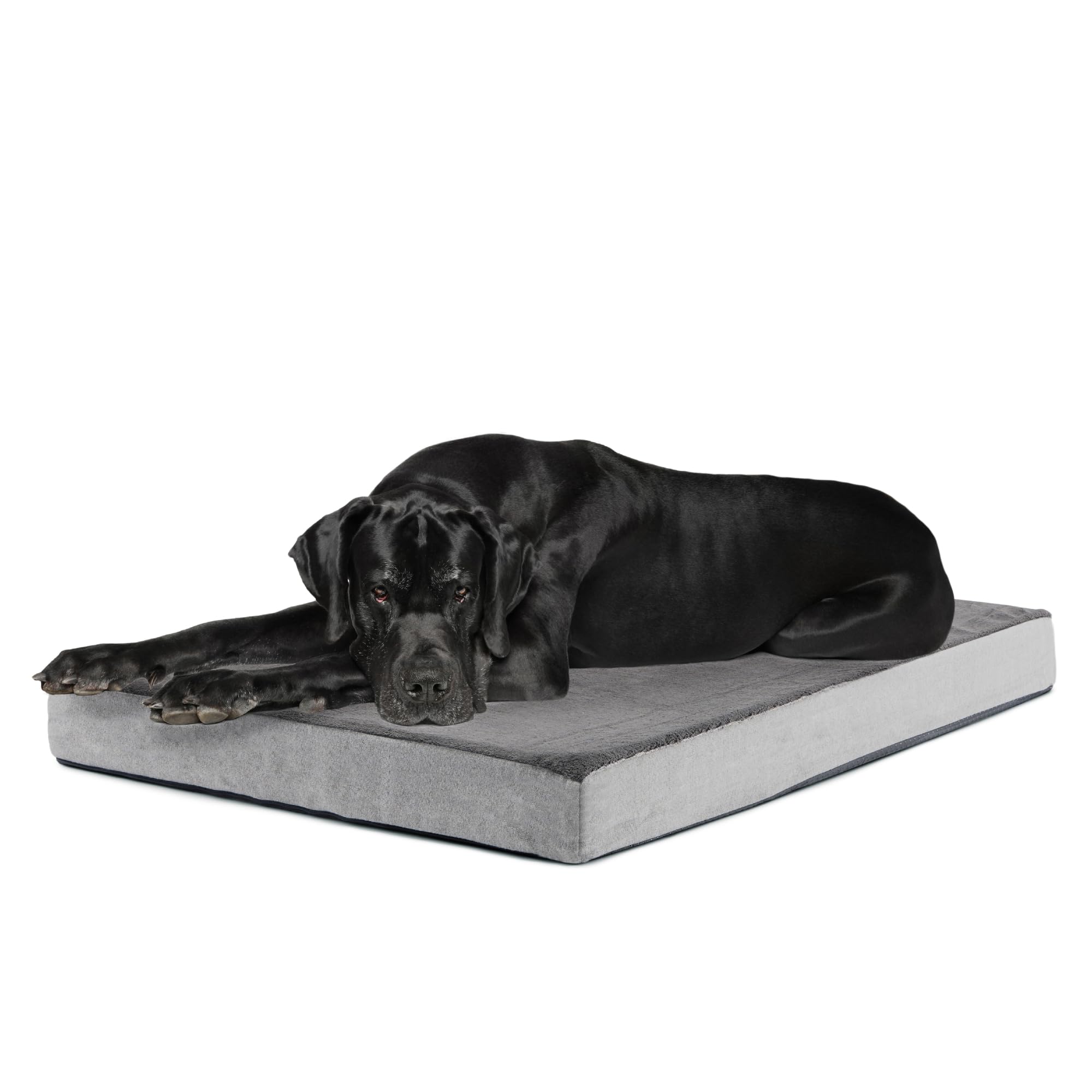 BarkBox Orthopedic Dog Bed memory foam close-up showing supportive comfort for dogs.