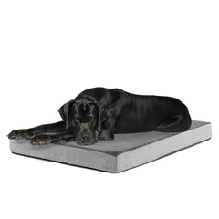 BarkBox Orthopedic Dog Bed memory foam close-up showing supportive comfort for dogs.