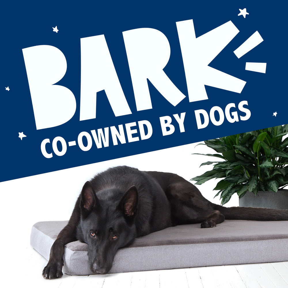 BarkBox Orthopedic Dog Bed suitable for puppies to seniors.
