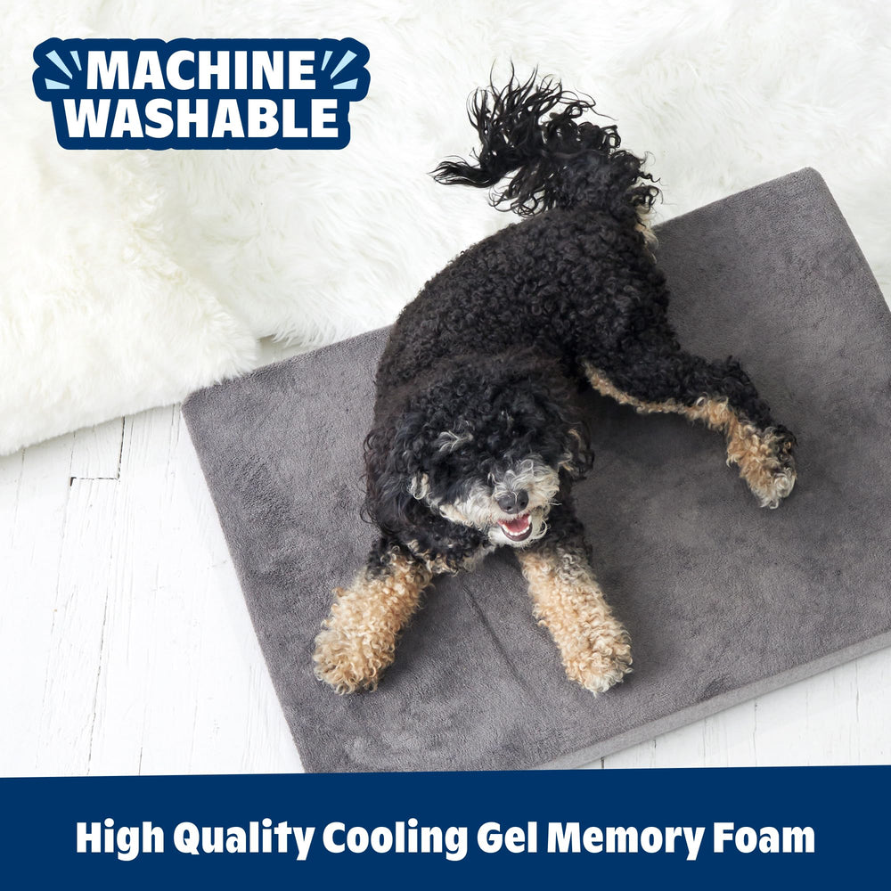 BarkBox Orthopedic Dog Bed washable cover removed for quick cleaning.