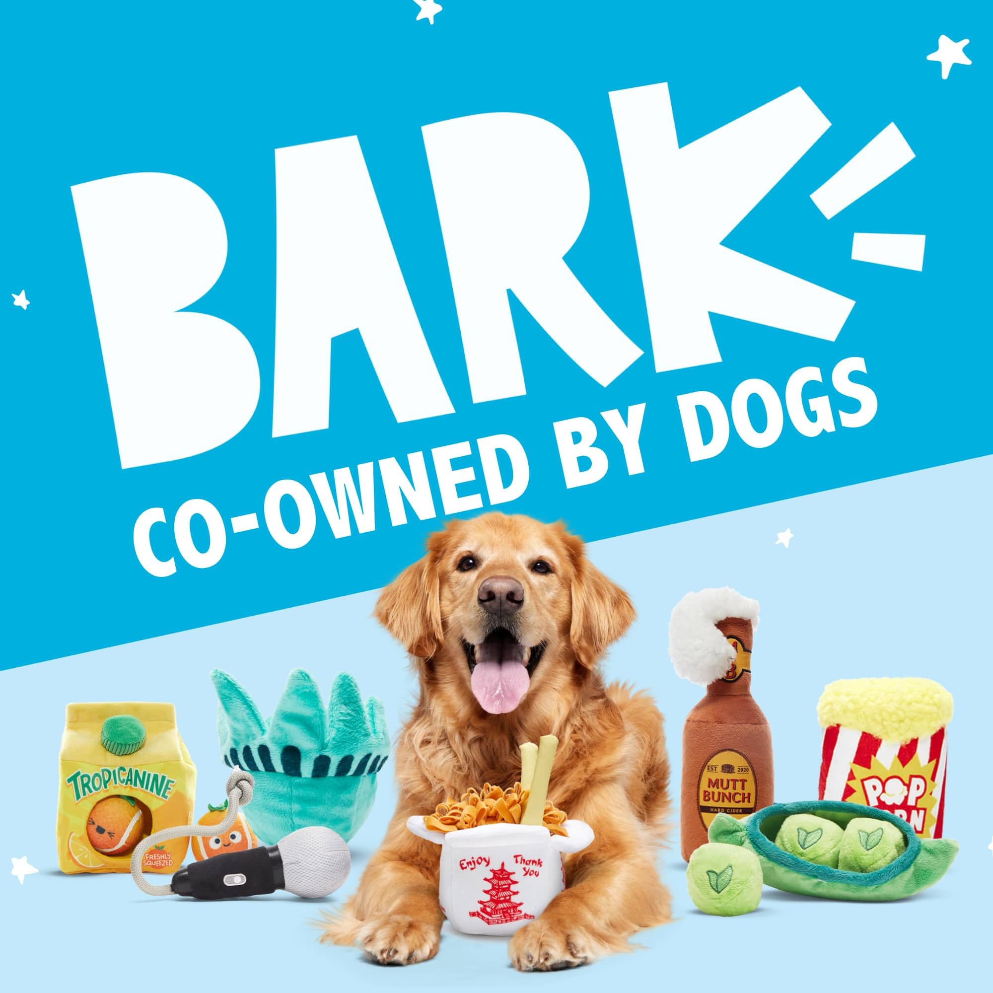 BARKBOX Penny gift-ready dog toy for birthdays or holidays.