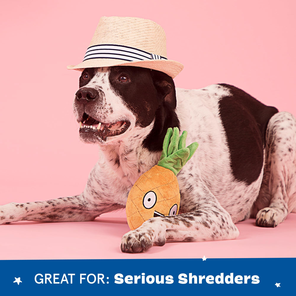 BARKBOX Penny tear-reveal design invites interactive discovery and prolonged engagement.