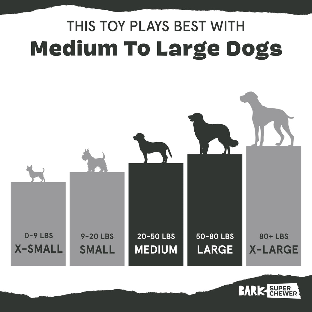 BarkBox Potato 2-in-1 toy reward-inside teaser encourages repeat play and sniff-and-chew ritual