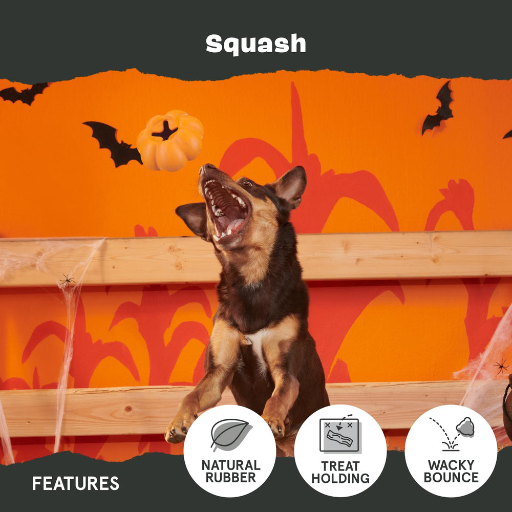 BarkBox Squash cream-scented close-up adds inviting scent during interactive chewing.