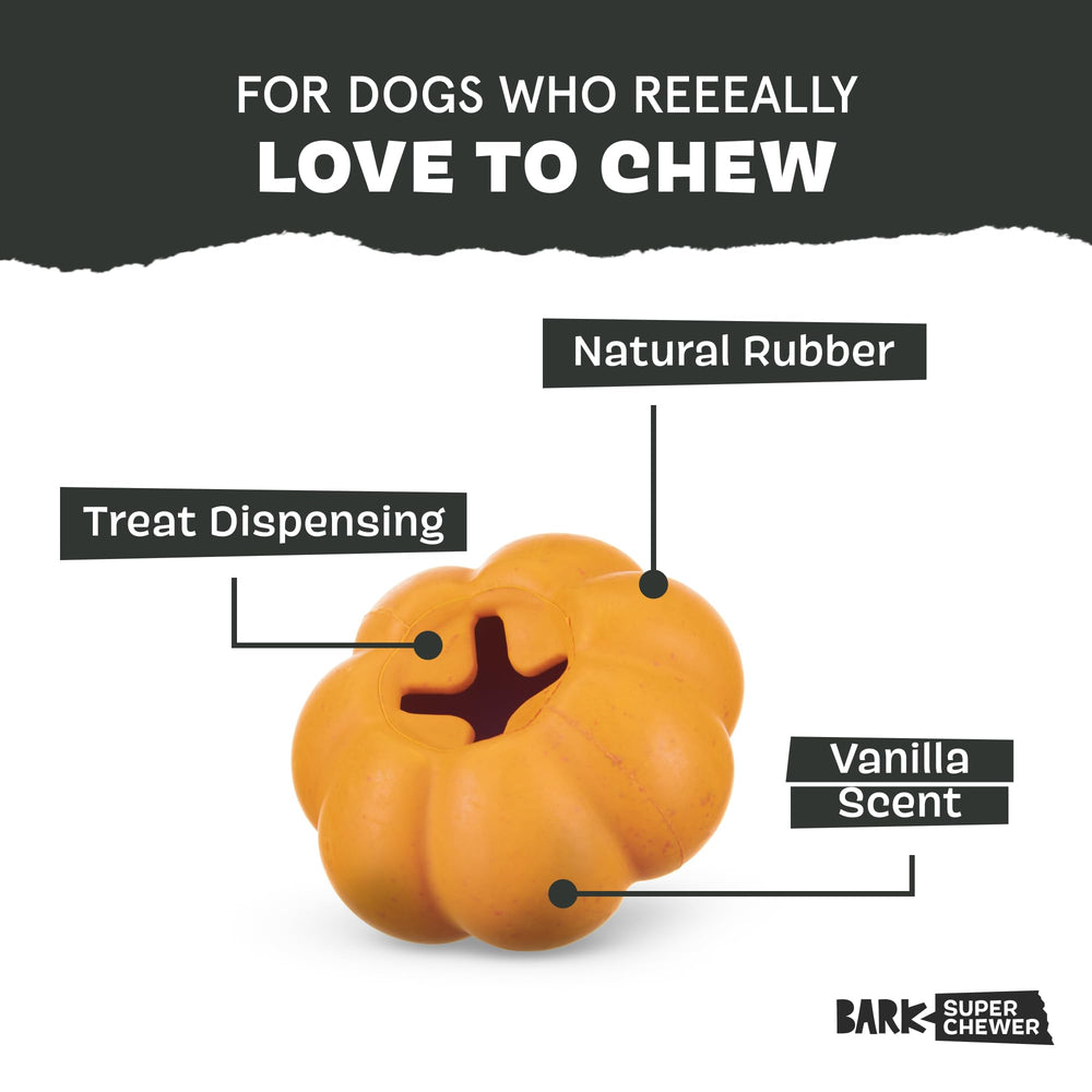 BarkBox Squash’s treat-dispensing feature adds rewarding play for small dogs.