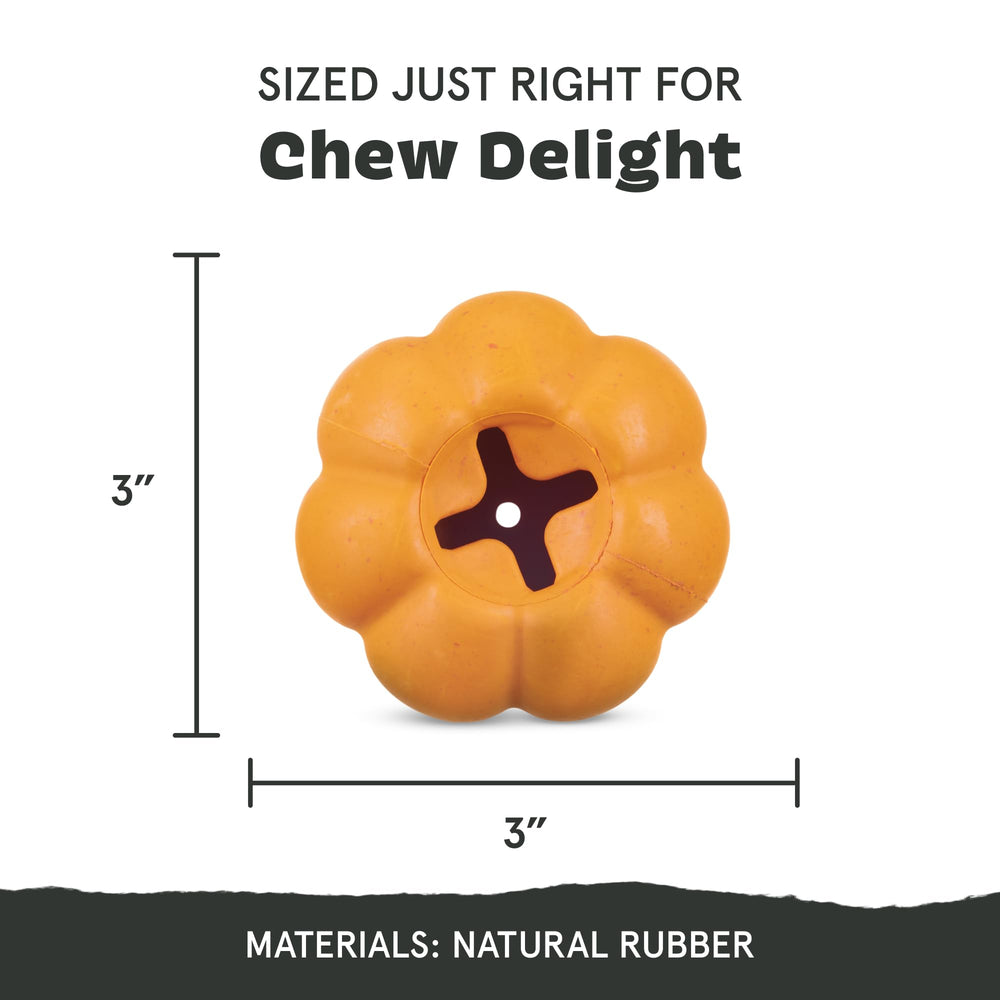 BarkBox Squash demonstrates a wobble design that keeps play unpredictable and fun.