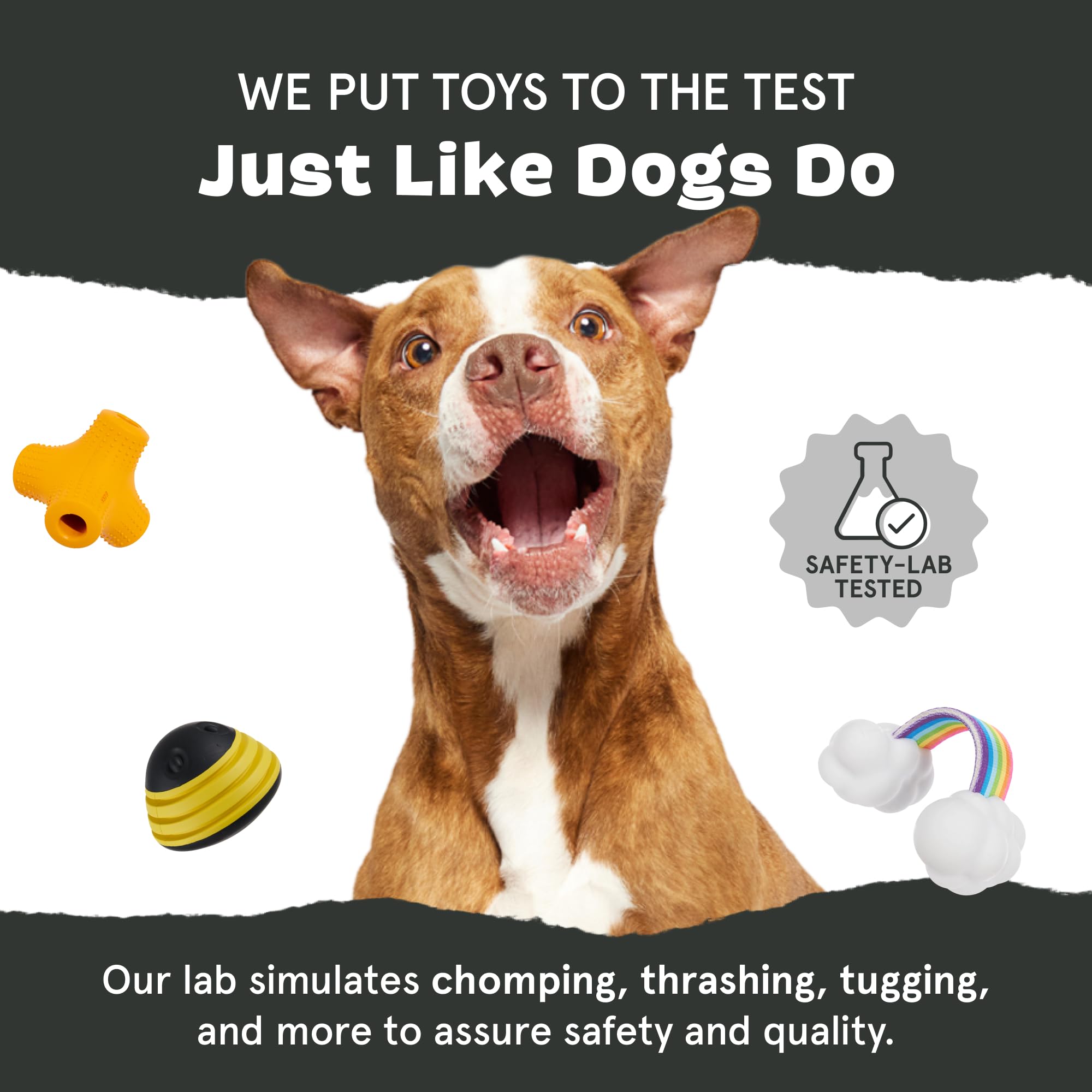 BarkBox Torbert Troll durable chew-ready playtime toy for active pups.