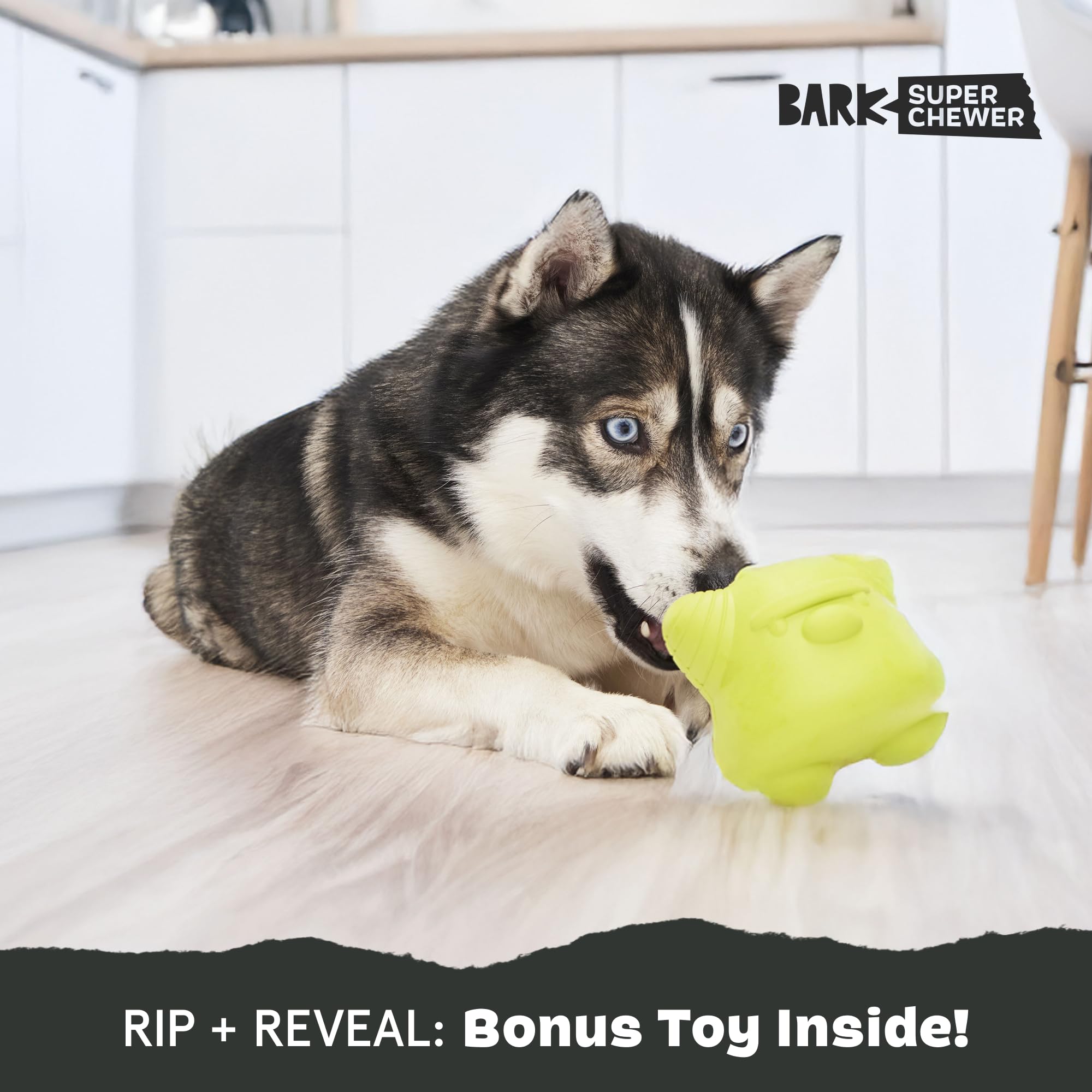 BarkBox Torbert Troll Toy wacky bounce keeps dogs curious and active