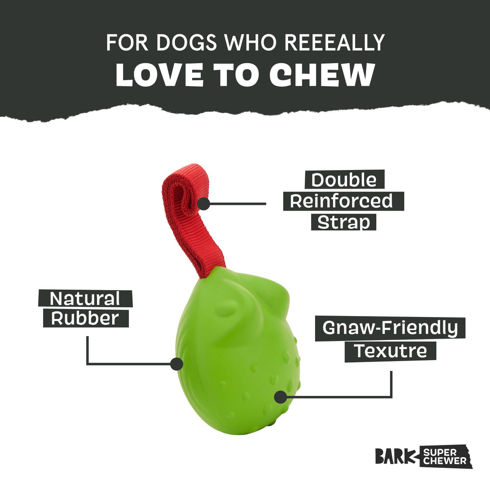 BarkBox Tug Tied Toad with reinforced nylon strap for vigorous tug-of-war.