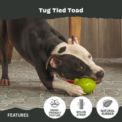 BarkBox Tug Tied Toad textured surface supports satisfying gnaw sessions.