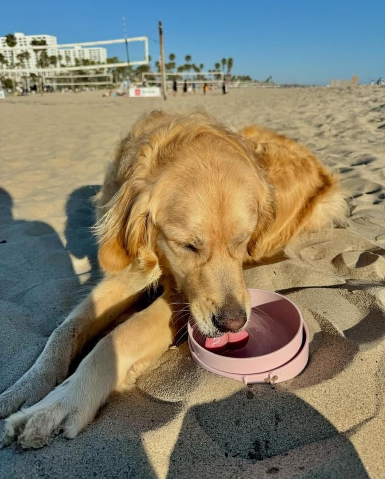 Barkin' Trails bowls come in blush and icy-blue for stylish dog travel gear.