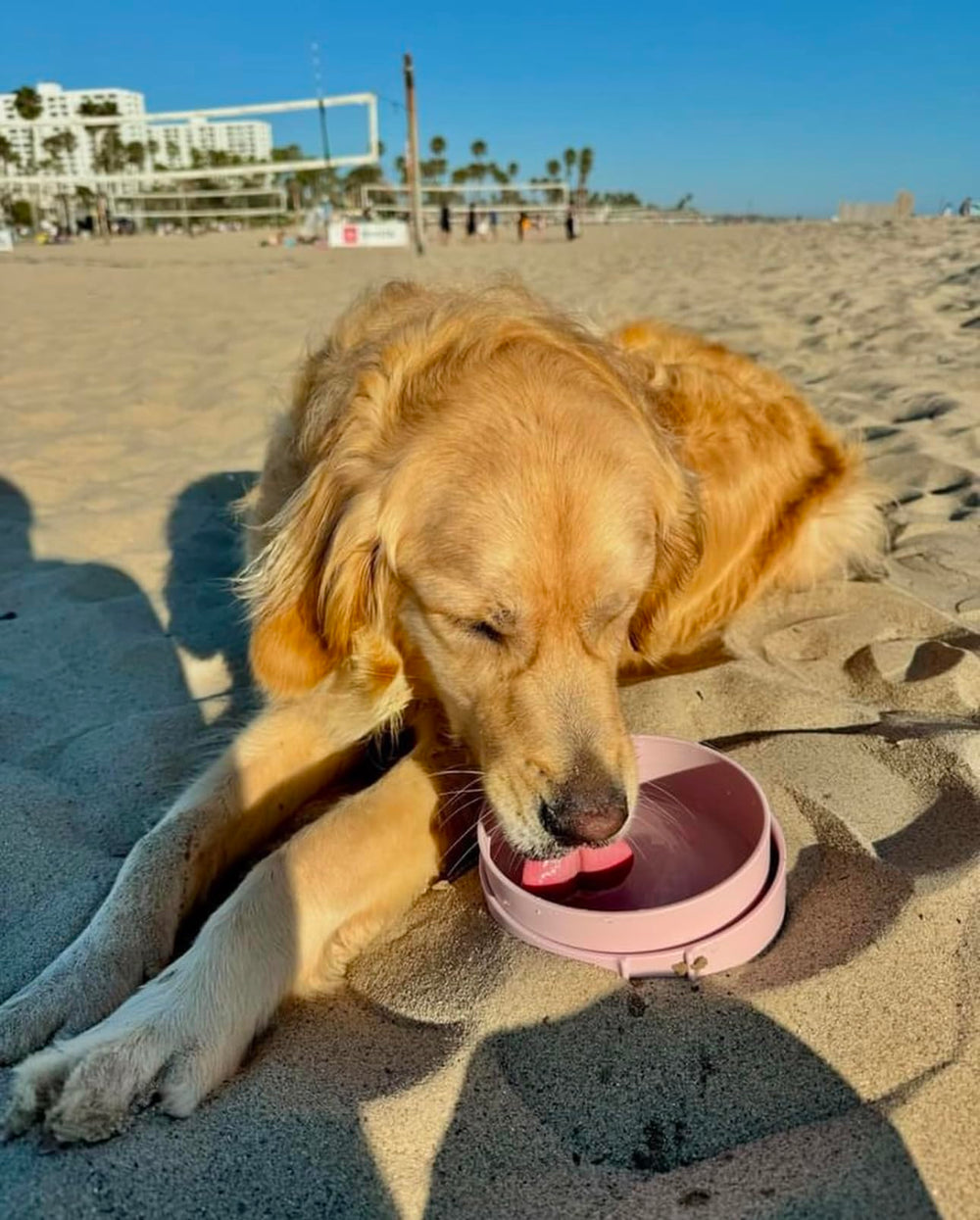 Barkin' Trails bowls come in blush and icy-blue for stylish dog travel gear.