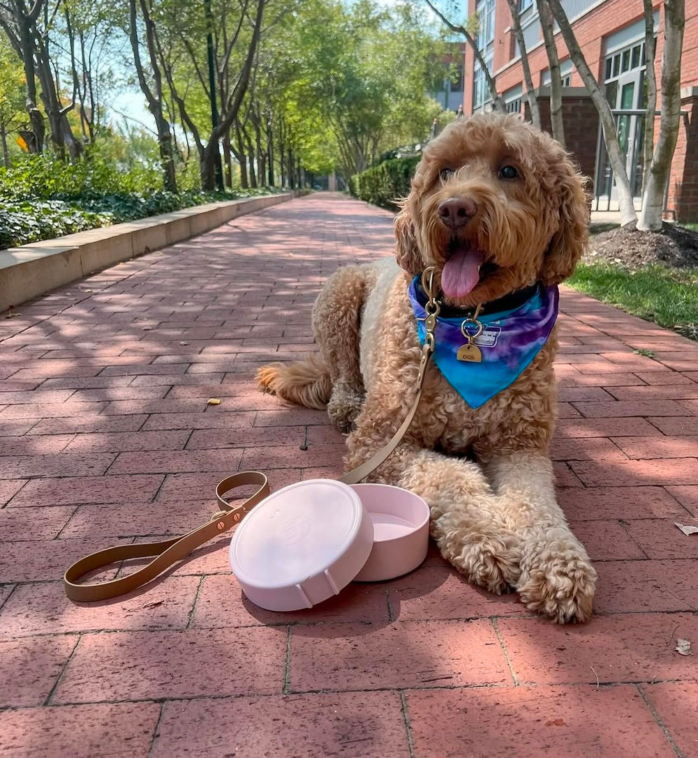 Barkin' Trails travel bowls strap keeps them together for easy packing.