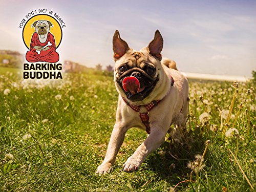 Barking Buddha beef cheek slices dental chew closeup, texture suited for gentle gum-surface cleaning.