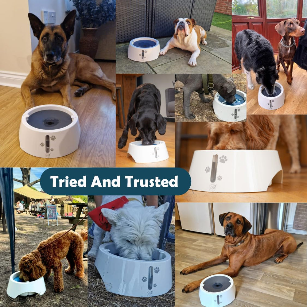 BARKING&MAD recomendado para perros grandes y medianos que beben rápido