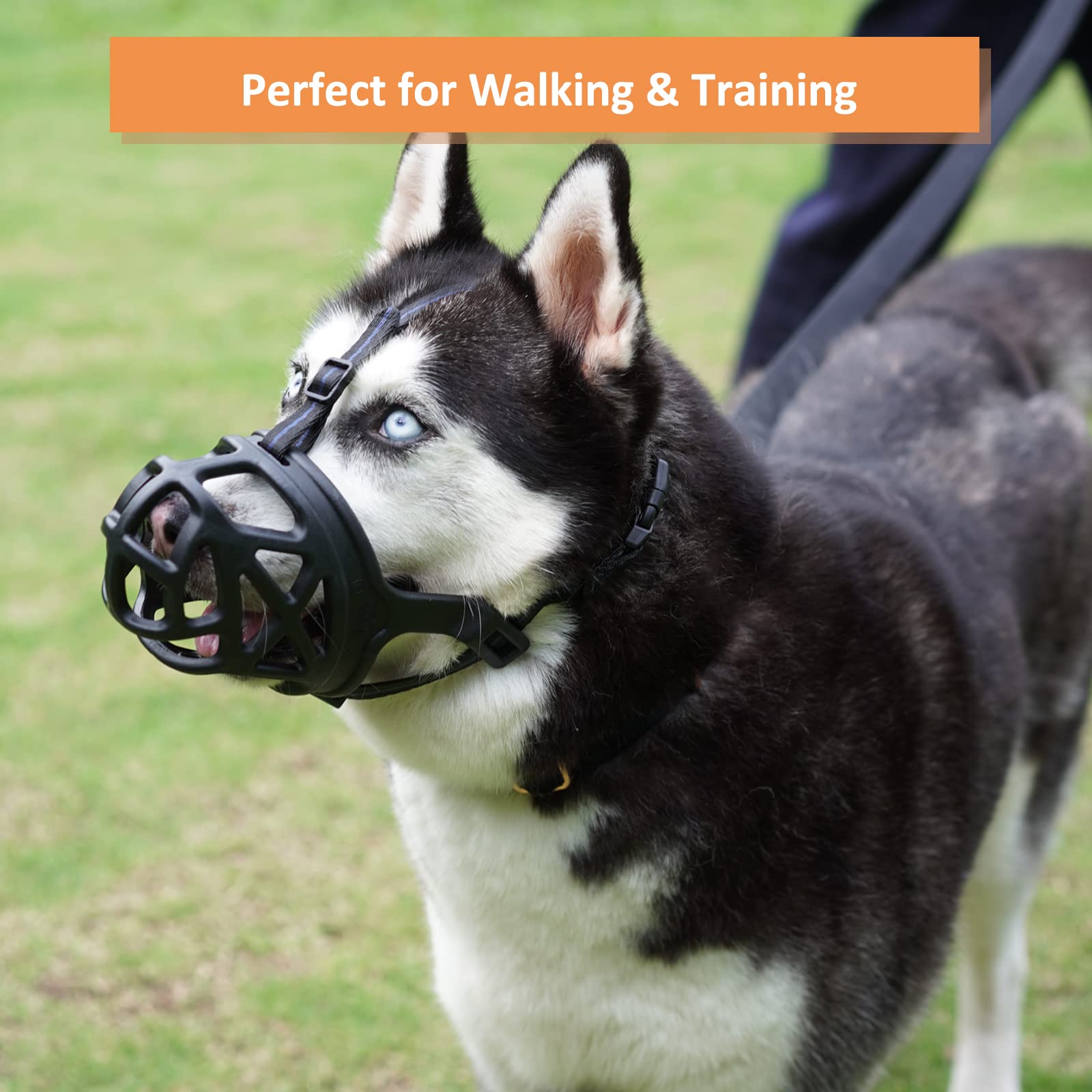 BARKLESS basket muzzle size chart example guiding precise snug fit.