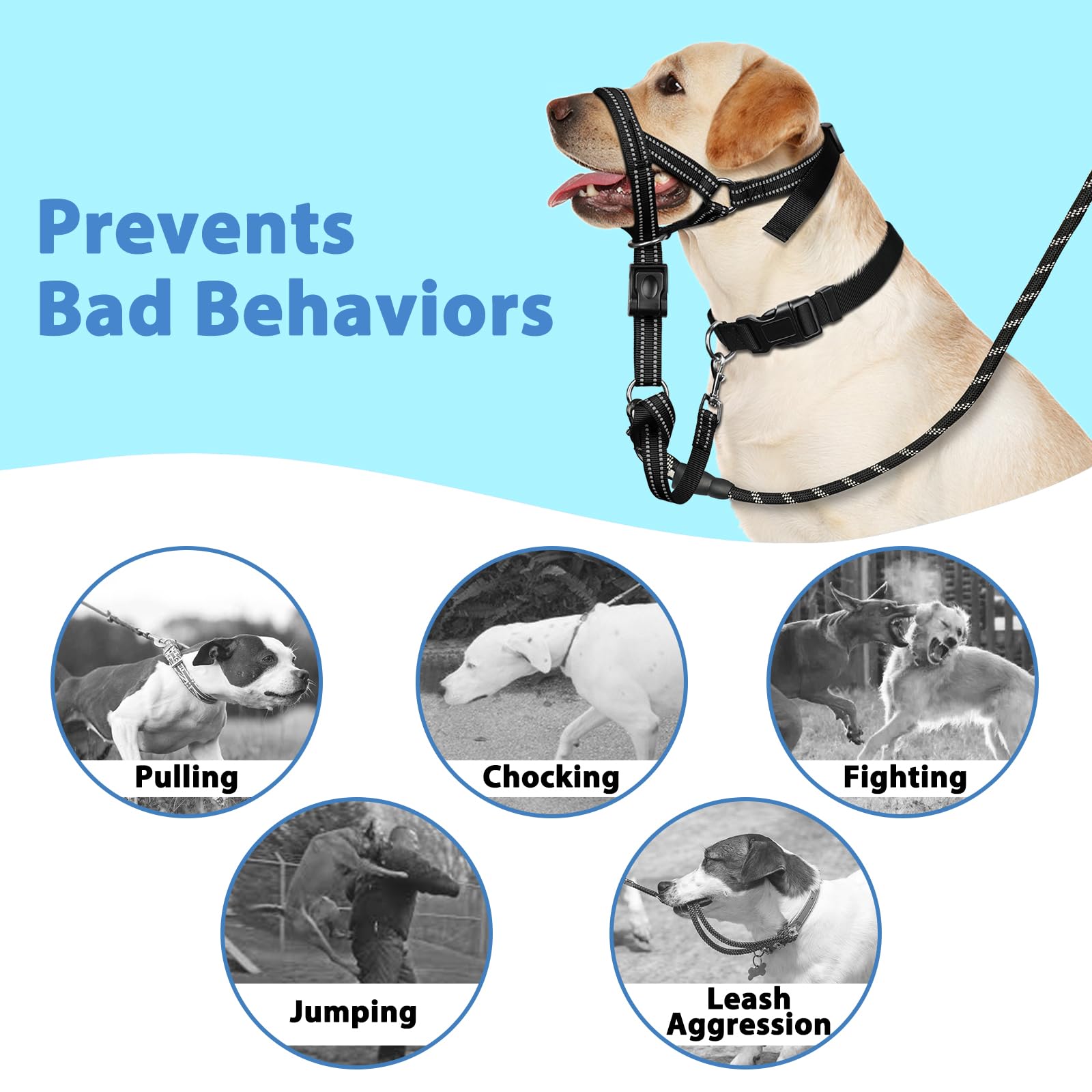 BARKLESS cinturón de seguridad adicional para mayor protección al caminar