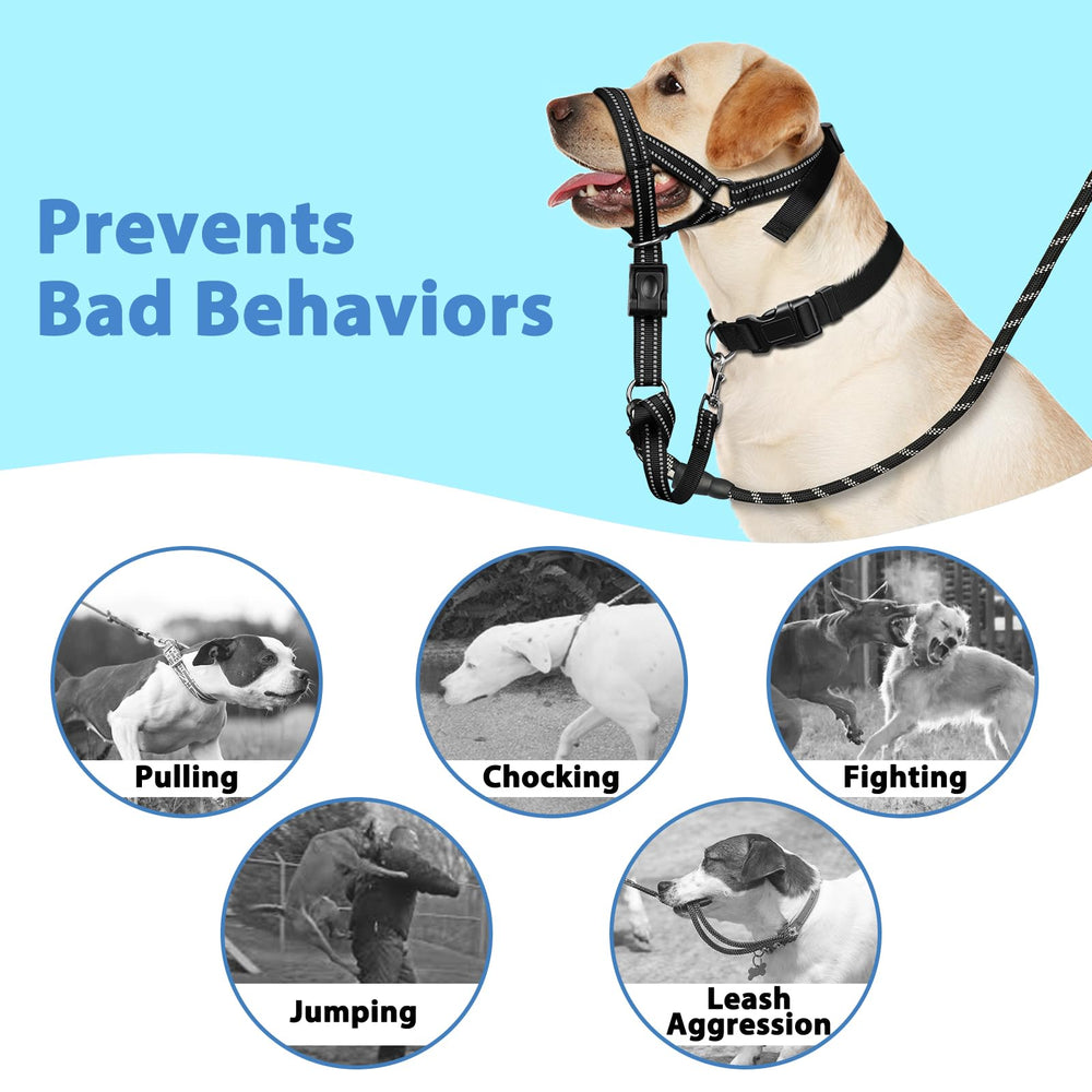 BARKLESS cinturón de seguridad adicional para mayor protección al caminar