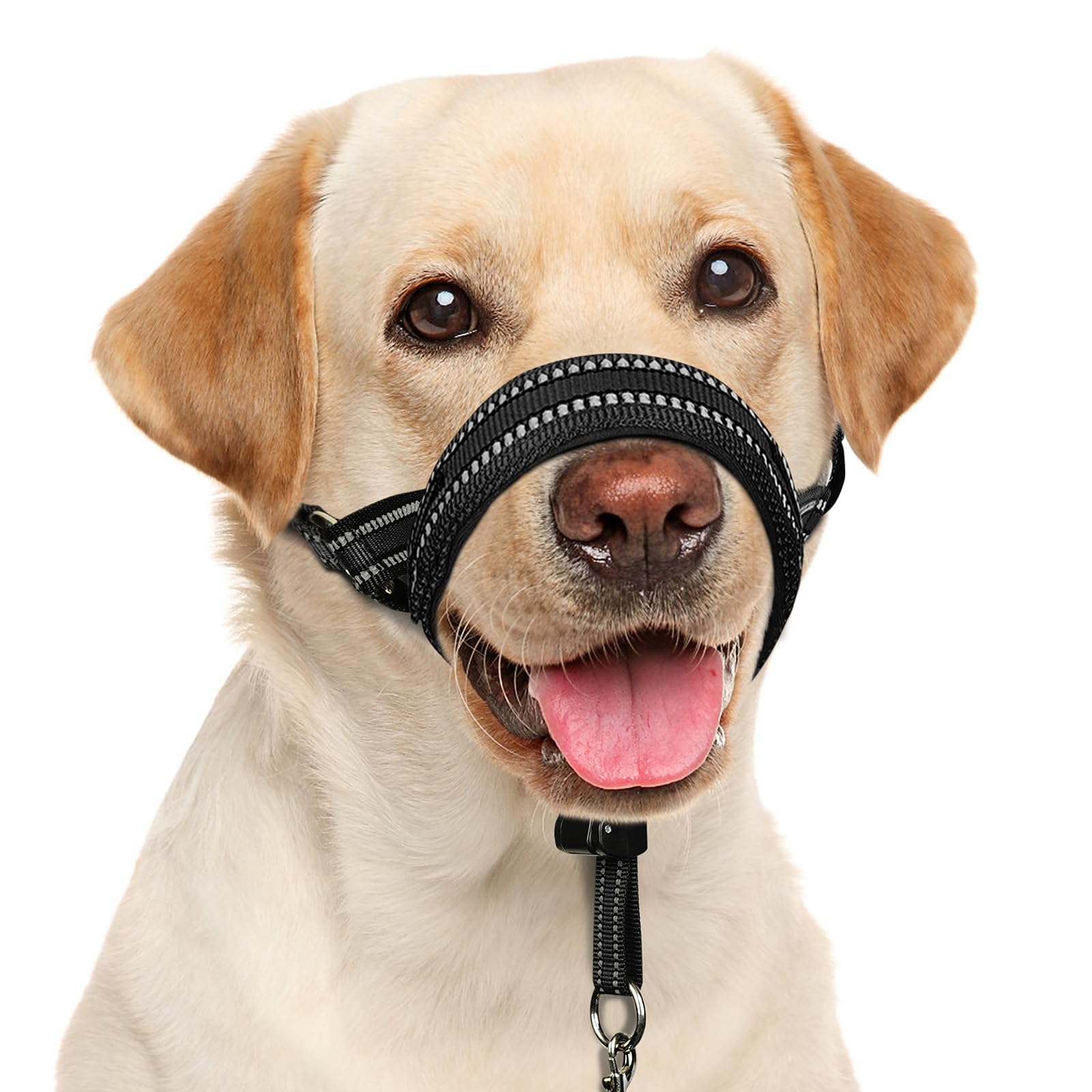 BARKLESS collar de cabeza suave frente muestra control cómodo para paseos