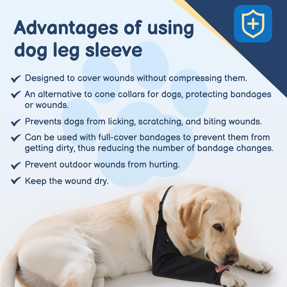 BARKLESS cone-alternative in use at home for post-surgery care.