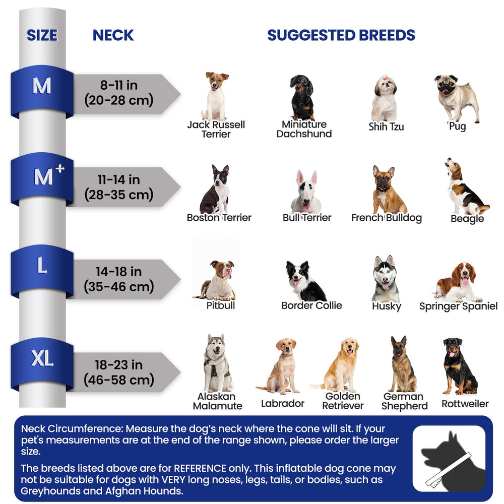 BARKLESS cone vision-design promotes easier navigation and less anxiety