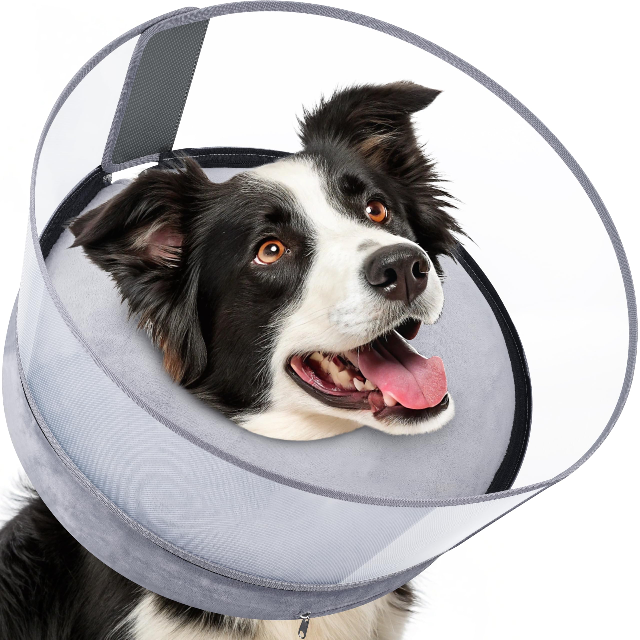 BARKLESS dog donut collar inflatable setup demonstrates secure fit for post-op healing