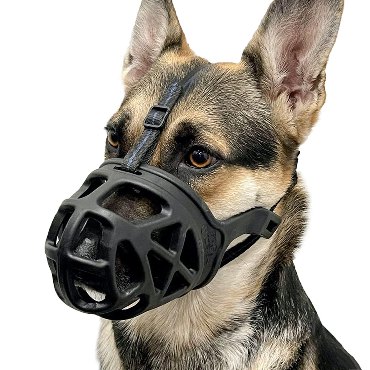 BARKLESS dog muzzle basket-design supports safe daily walks with unrestricted drinking.