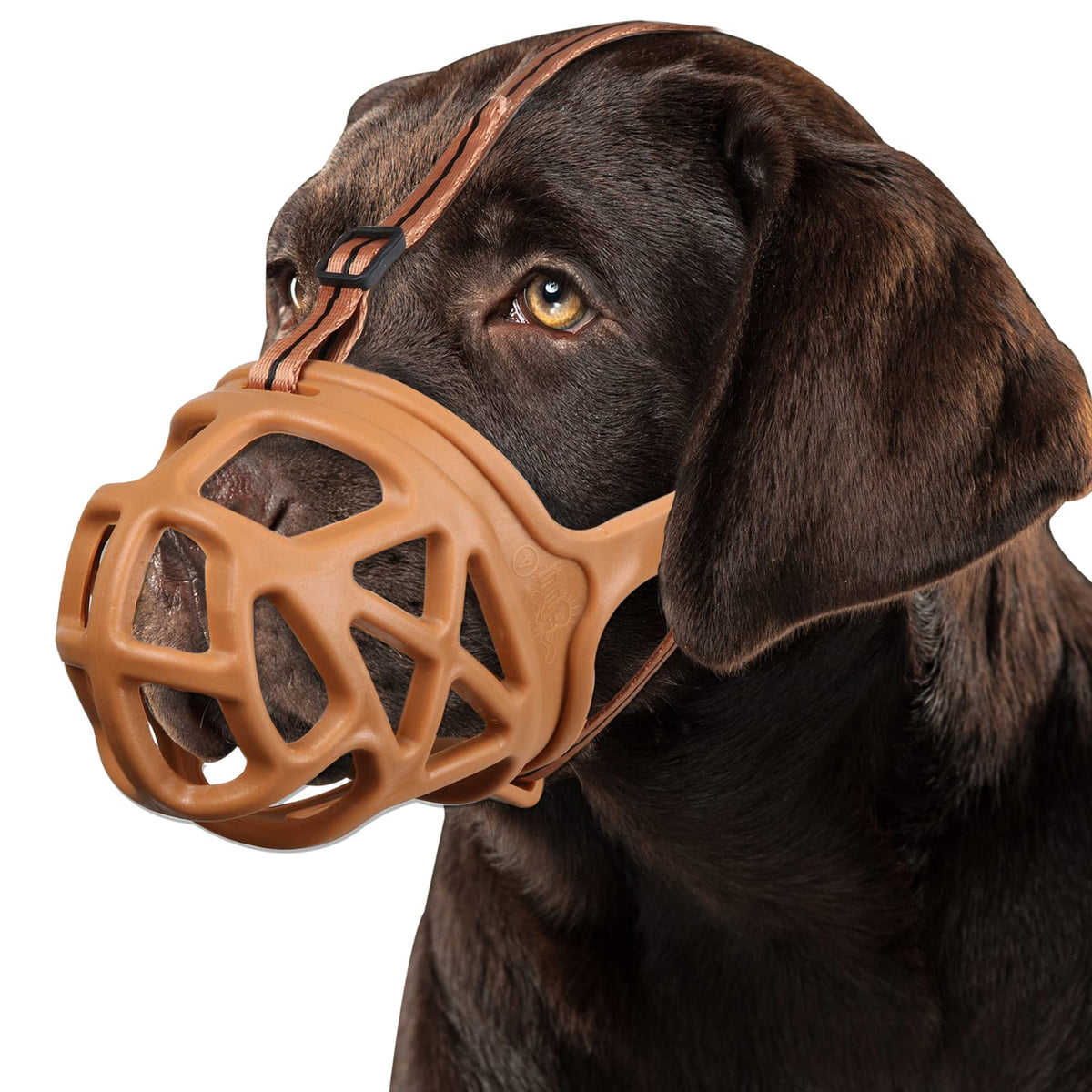 BARKLESS XL brown front-view basket muzzle showing protective design for walks.