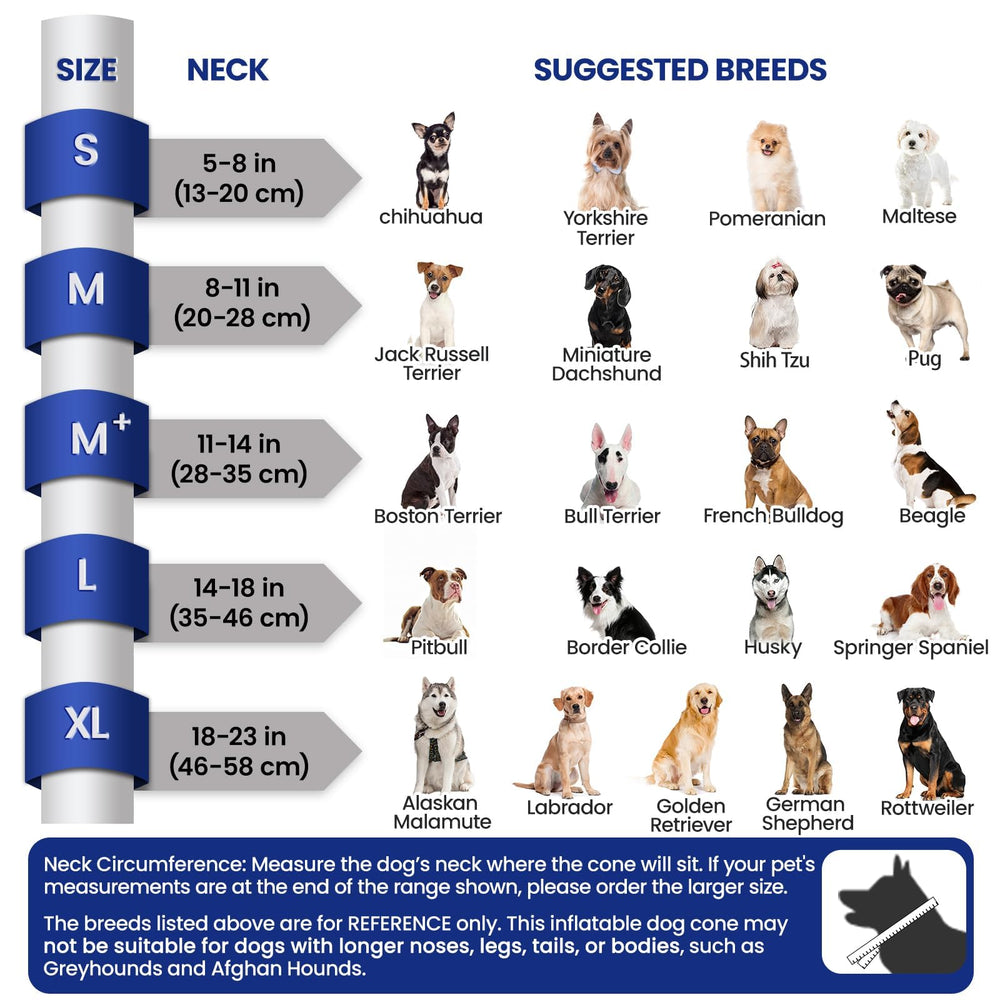 BARKLESS donut collar with shield zipper demonstrates easy on off protection
