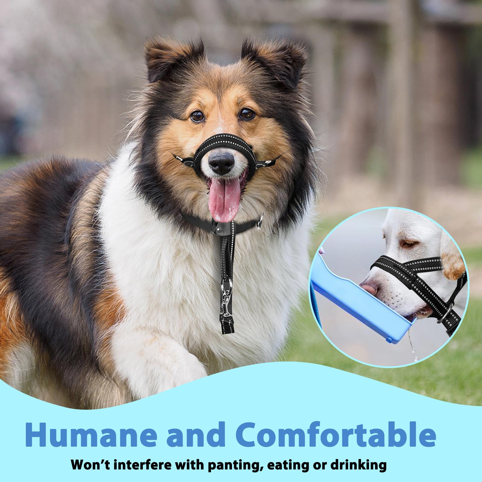 BARKLESS guía de entrenamiento paso a paso para paseos sin tirones