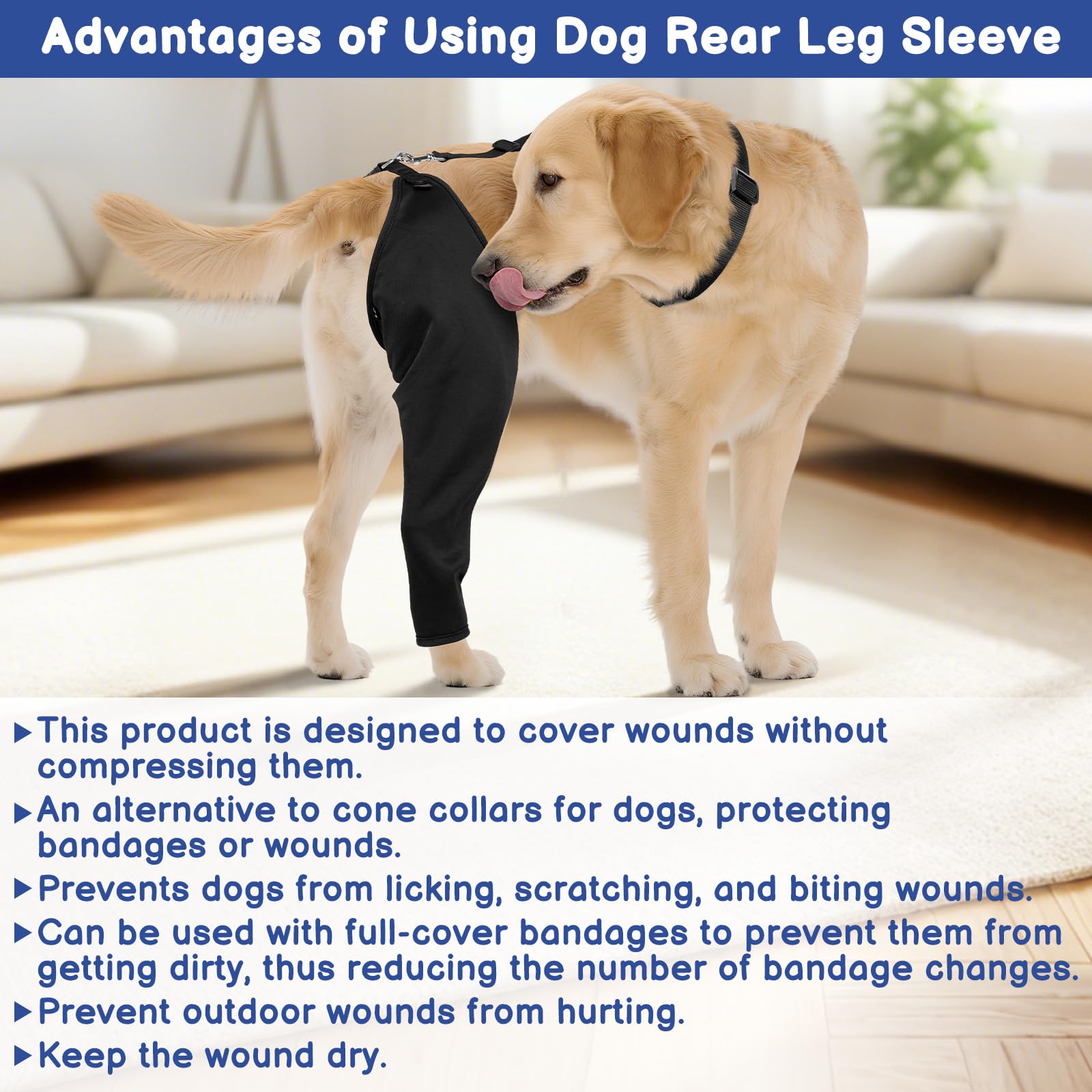 BARKLESS measurement guide video aids selecting the right size.