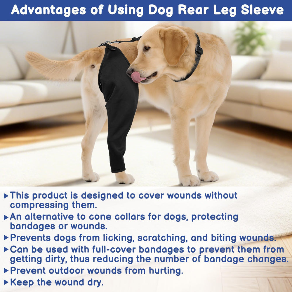 BARKLESS measurement guide video aids selecting the right size.