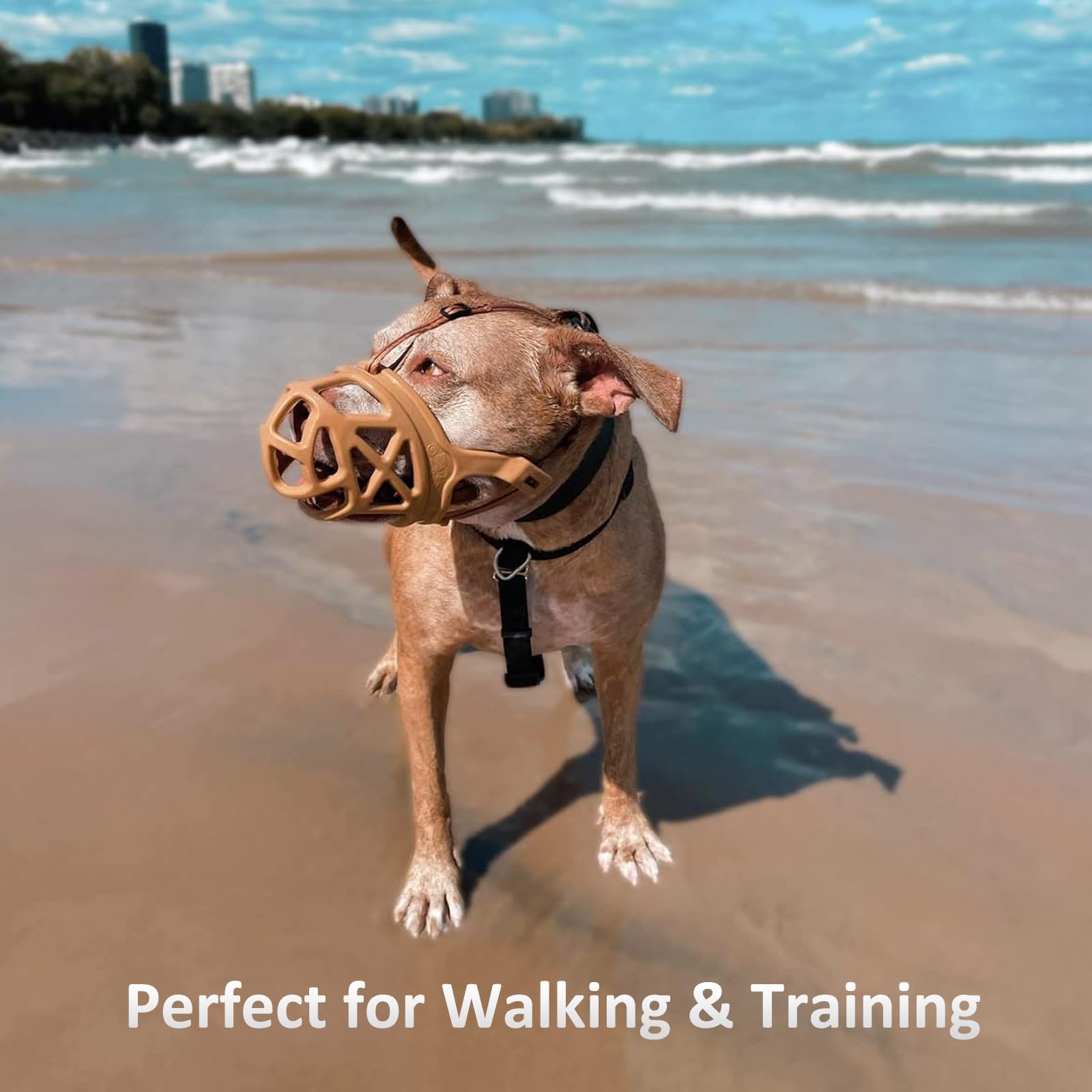 BARKLESS secure-fit prevents muzzle slippage during activity