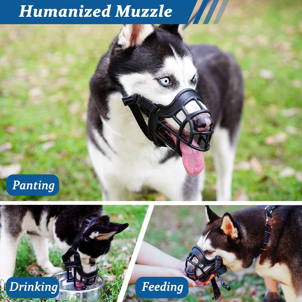 BARKLESS muzzle-training-session highlights desensitizing technique for muzzle acceptance.