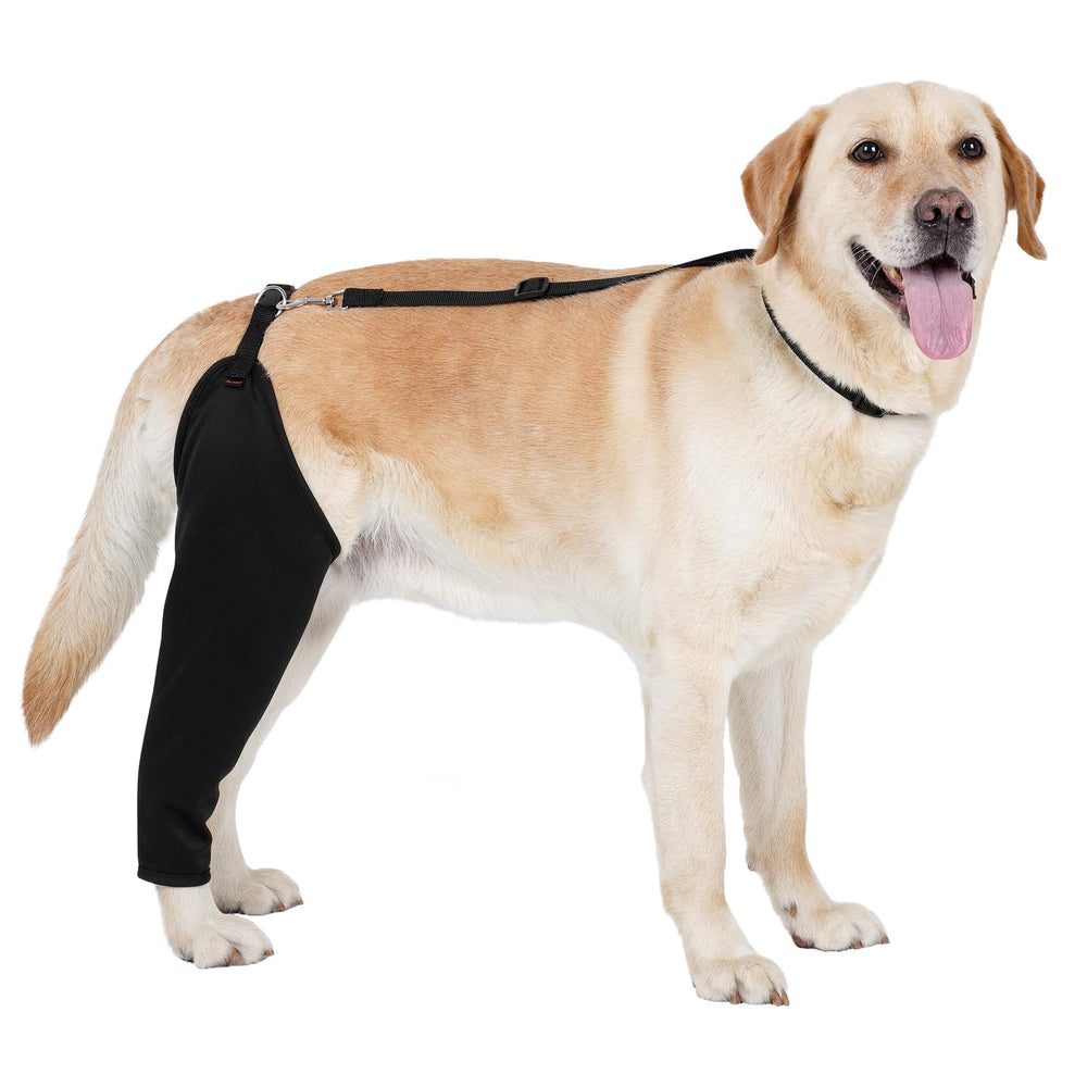BARKLESS rear-leg sleeve close-up shows protective fabric for post-surgery protection.