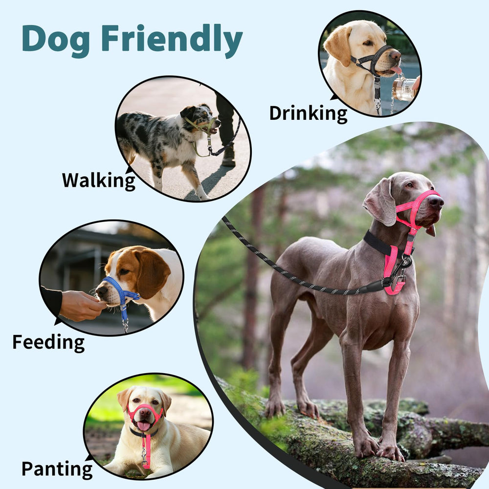 BARKLESS size-guide image highlighting proper measurements before purchase.