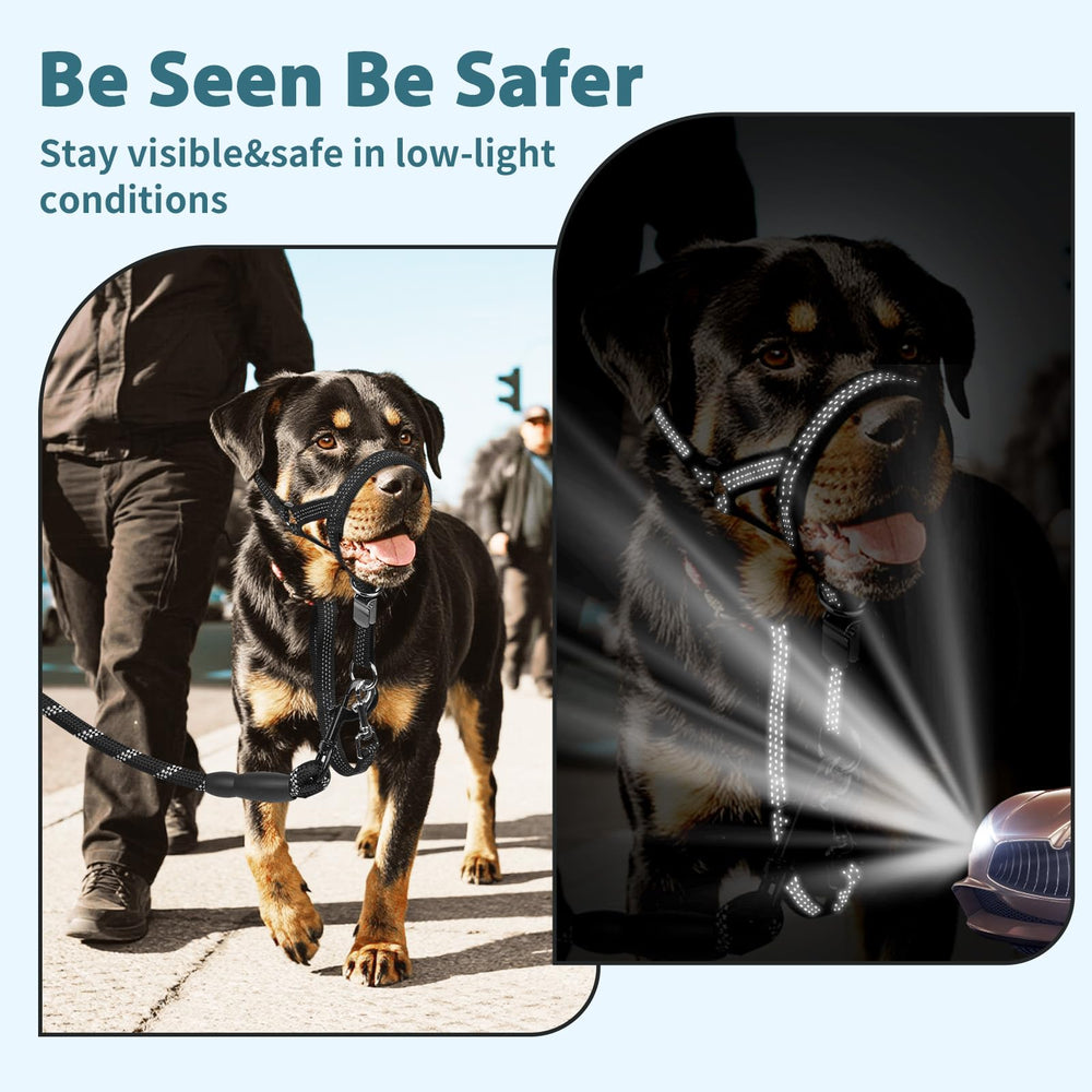 BARKLESS wearing in real-life walk scene illustrating easier leash control and reduced pulling.