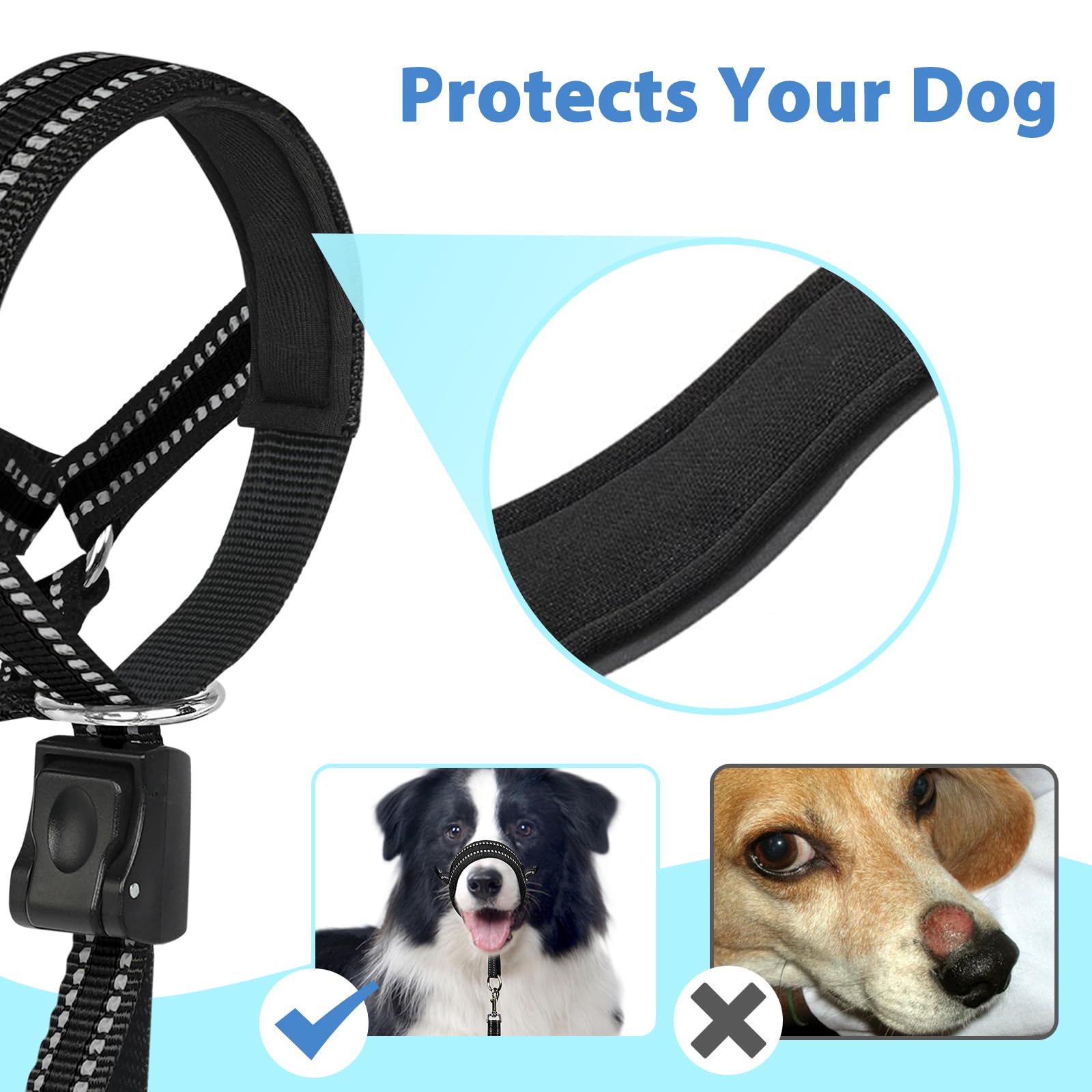 BARKLESS talla M con medidas de hocico y cuello dentro del rango recomendado